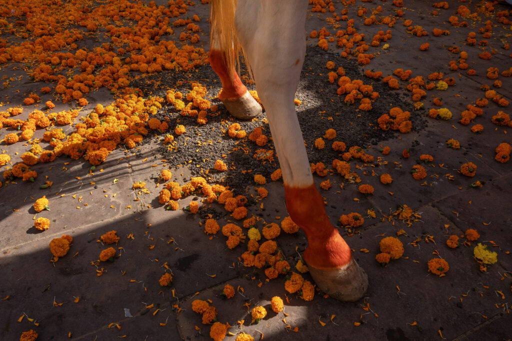 Fragments of Life_Debrani Das
