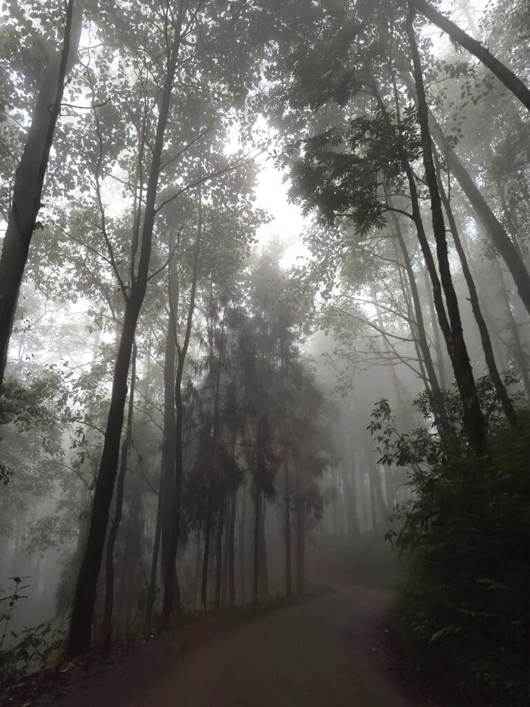 Where Clouds Wait: Notes from Dawaipani