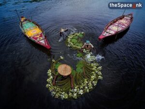 BARTI BILL The Wetland of Bengal