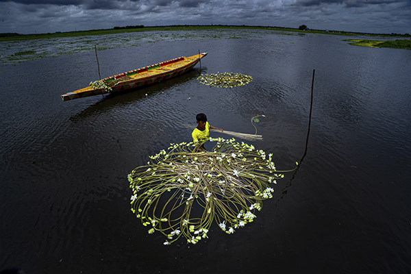 BARTI BILL The Wetland of Bengal