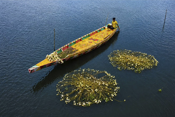 BARTI BILL The Wetland of Bengal