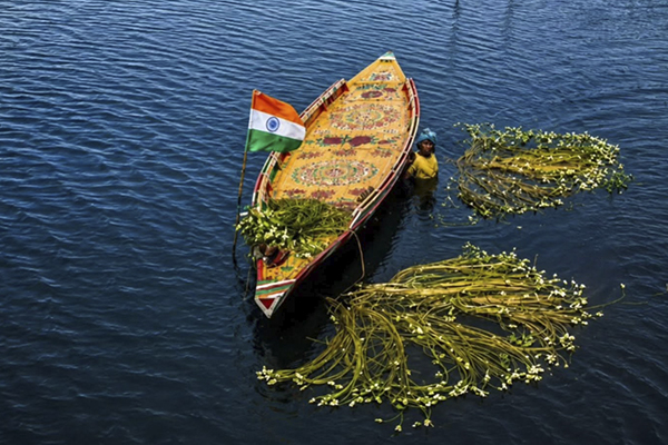 BARTI BILL The Wetland of Bengal