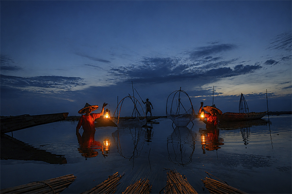 BARTI BILL The Wetland of Bengal