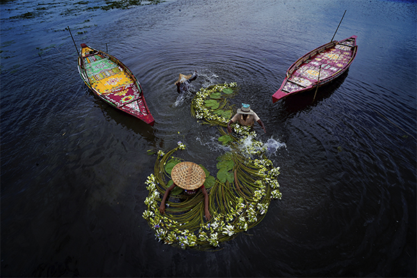 BARTI BILL The Wetland of Bengal