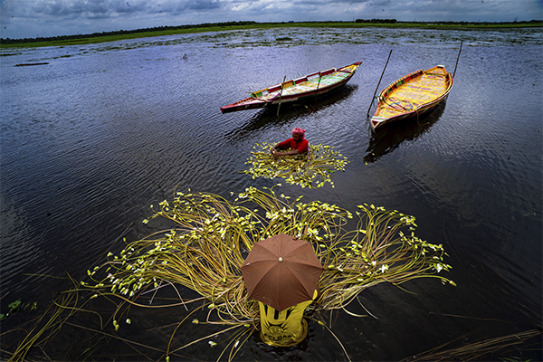 BARTI BILL The Wetland of Bengal