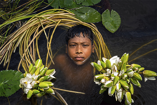 BARTI BILL The Wetland of Bengal