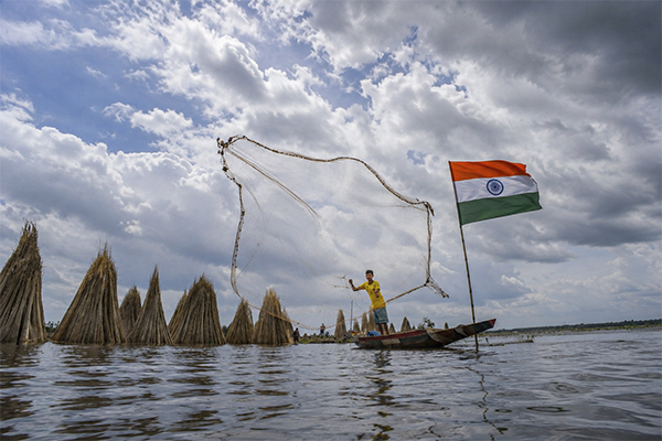BARTI BILL The Wetland of Bengal