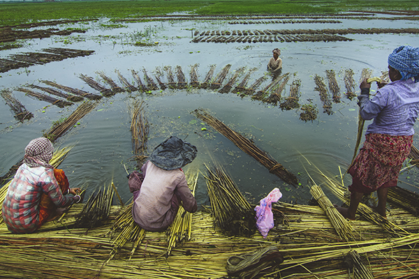 BARTI BILL The Wetland of Bengal