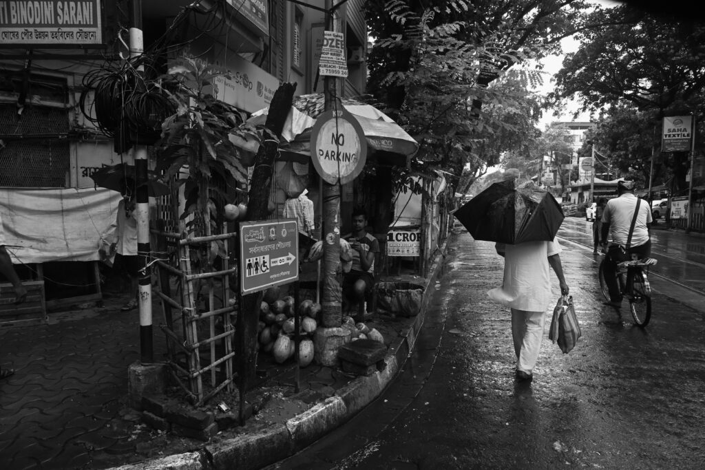 The City in the Rain