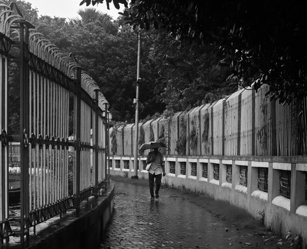 The City in the Rain