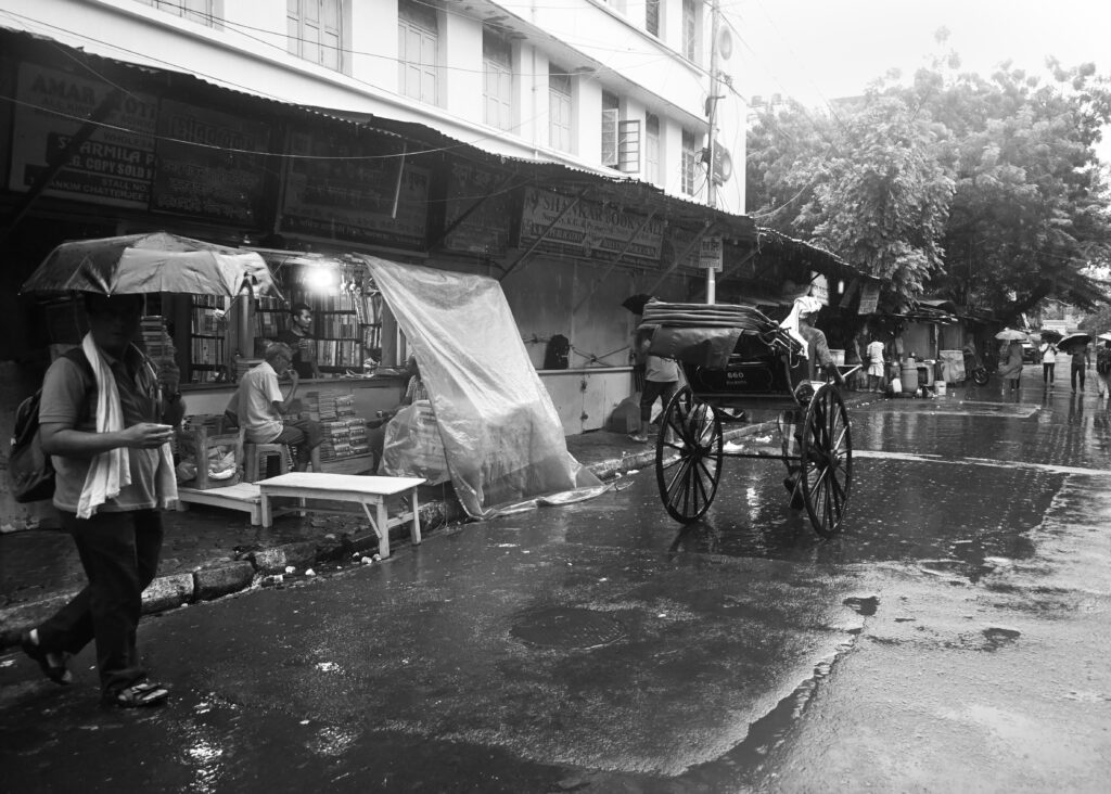 The City in the Rain